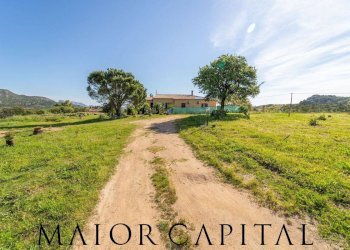 Villa Bifamiliare località lu lioni, San Teodoro - foto 3