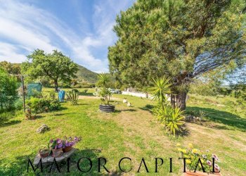 Villa Bifamiliare località lu lioni, San Teodoro - foto 5