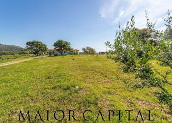 Villa Bifamiliare località lu lioni, San Teodoro - foto 29