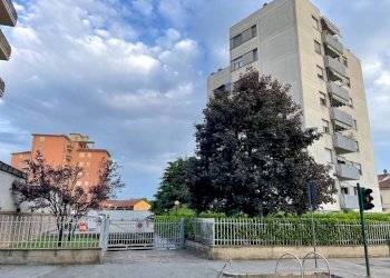 Box Torino - foto 1