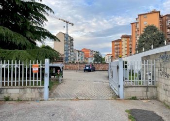 Box Torino - foto 11