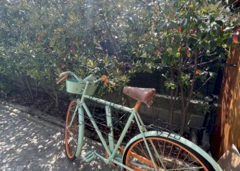 Casa indipendente Sommariva del Bosco - foto 26