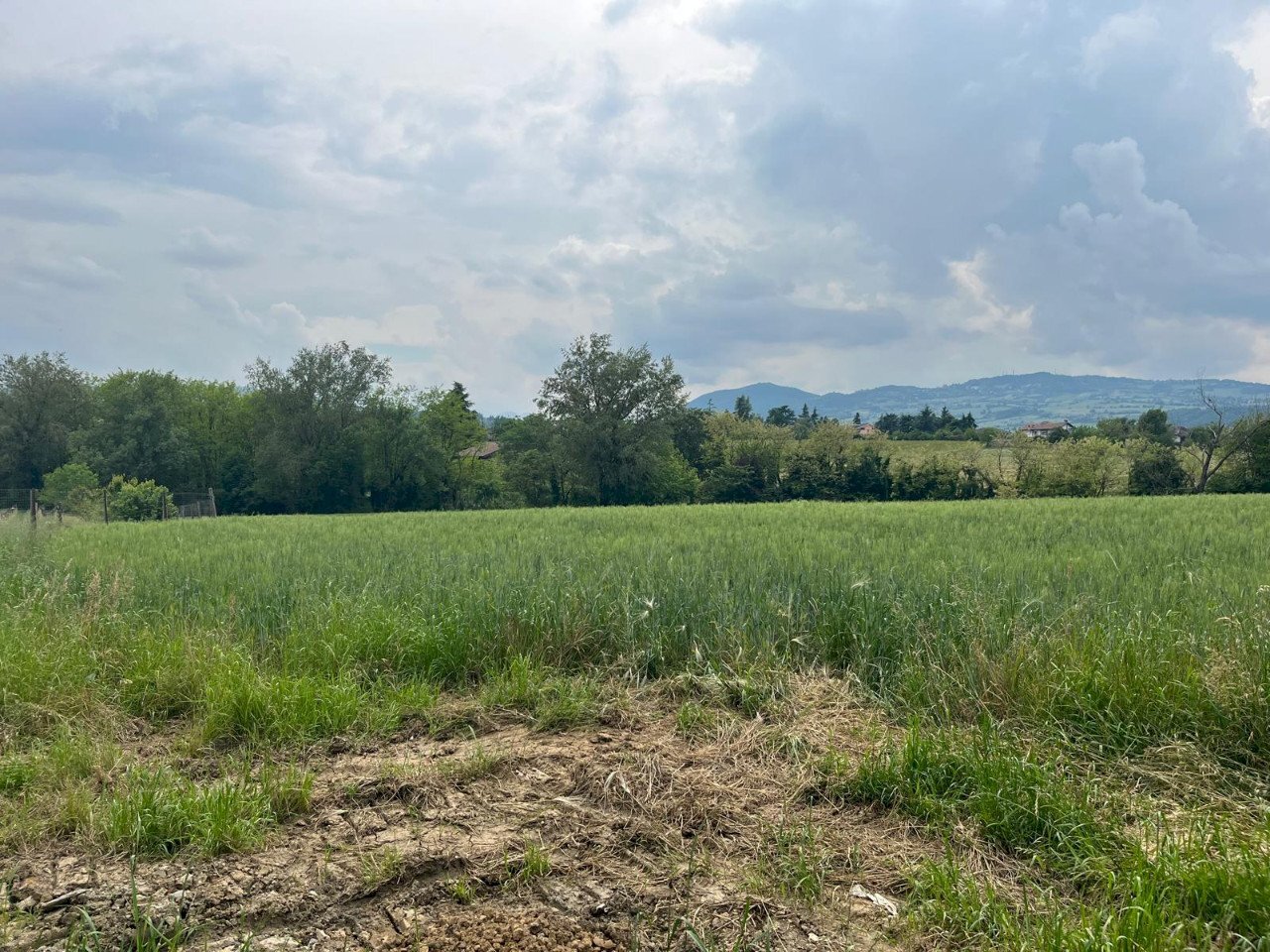 Terreno edificabile Rivergaro - foto 2