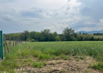 Terreno edificabile Rivergaro - foto 3