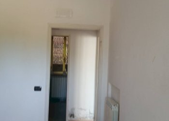 Commercial Activity lammari, Capannori - photo 10