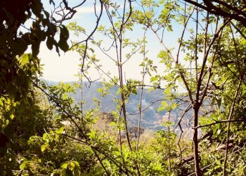 10 - Rustico via Lamberto Loria, Genova (zona Marassi) - foto 10