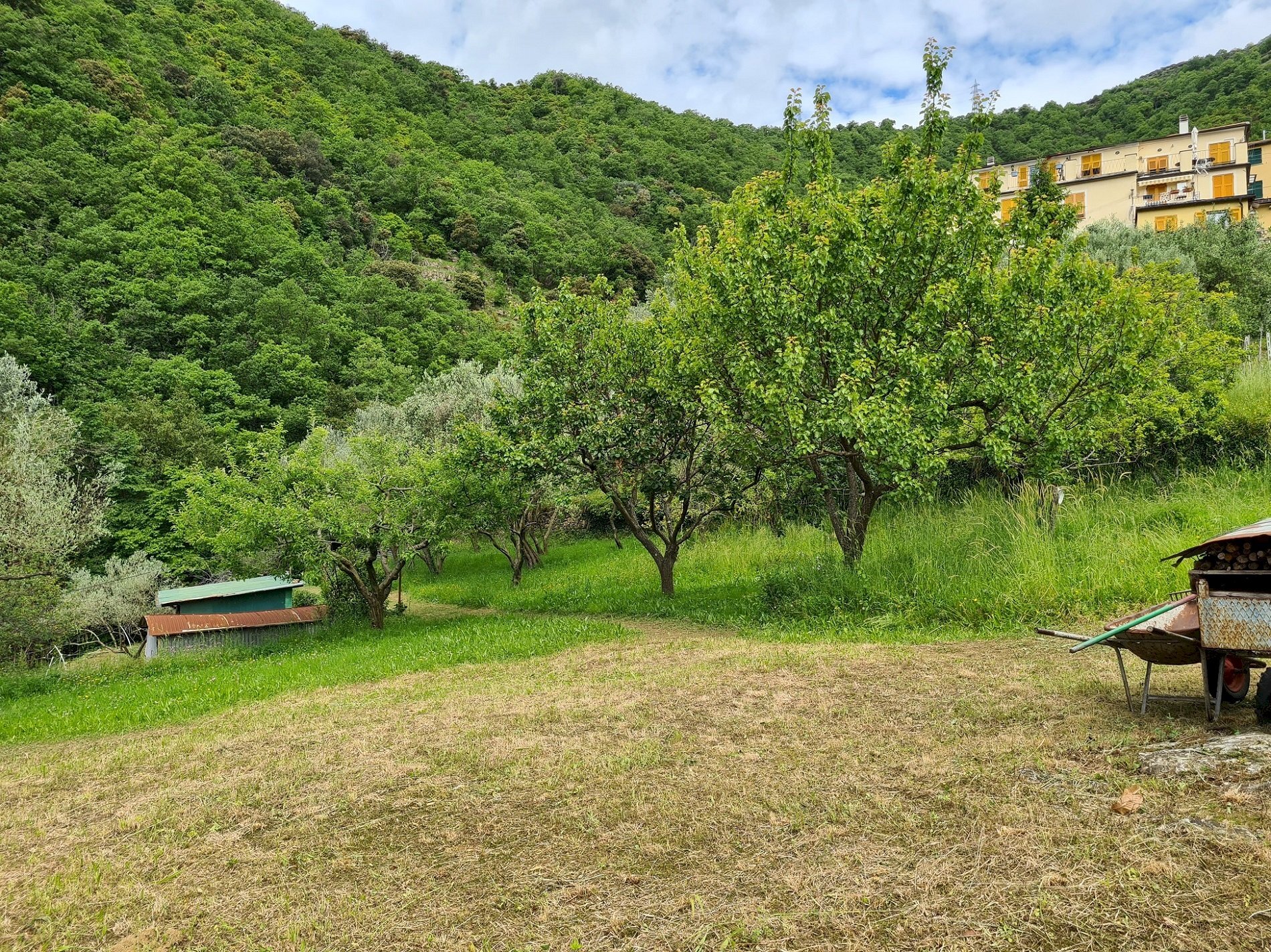 Porzione di casa Genova - foto 3