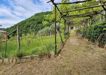 Porzione di casa Genova - foto 4