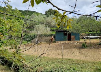 Porzione di casa Genova - foto 31
