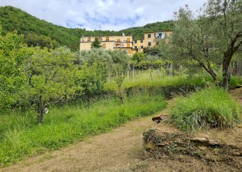 Porzione di casa Genova - foto 32