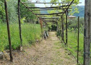 Porzione di casa Genova - foto 33