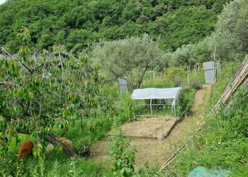 Porzione di casa Genova - foto 34