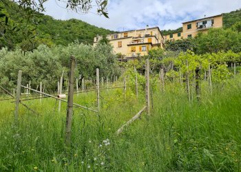 Porzione di casa Genova - foto 35