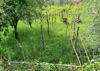 Porzione di casa Genova - foto 36