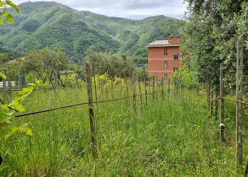 Porzione di casa Genova - foto 37