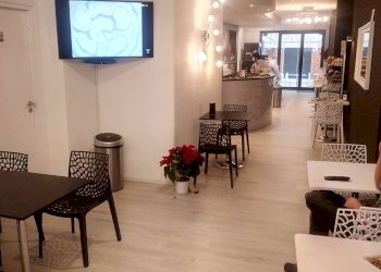 Commercial Activity Via aurelia, Viareggio - photo 11