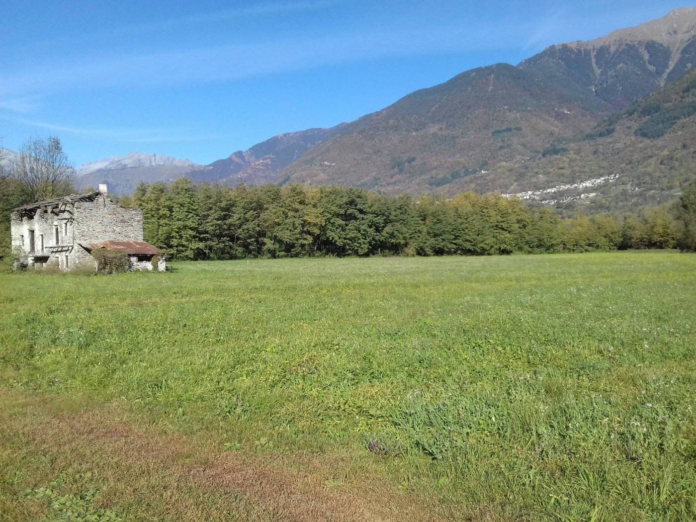 Rustic Cedrasco - photo 3