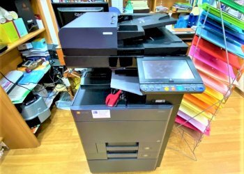 Attività Commerciale Mondragone - foto 3