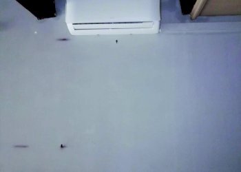 Negozio Ferrara (zona Centro Storico) - foto 11