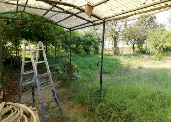 Independent house Cassine - photo 20