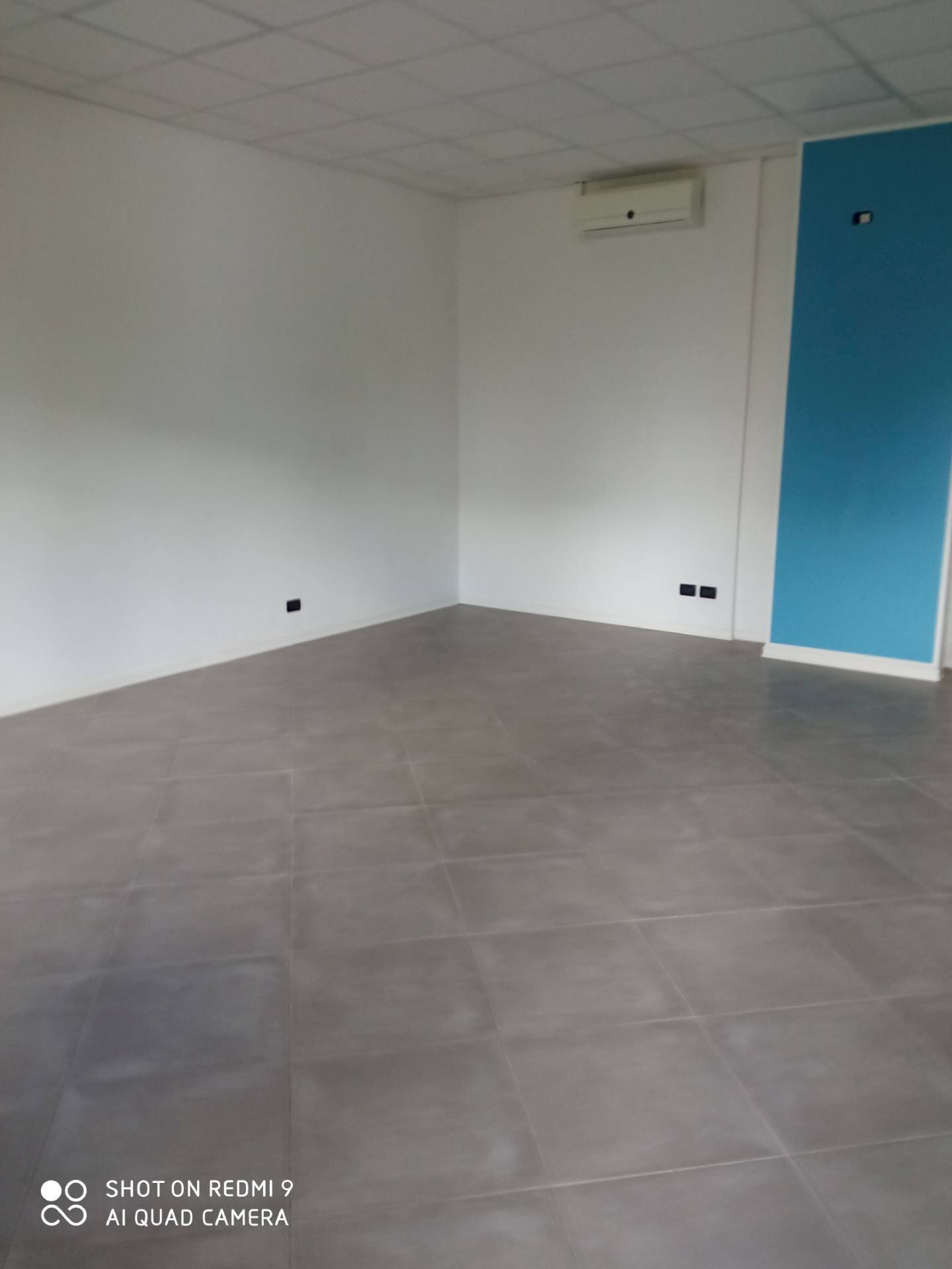 Commercial Activity lunata, Capannori - photo 3