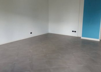 Commercial Activity lunata, Capannori - photo 3