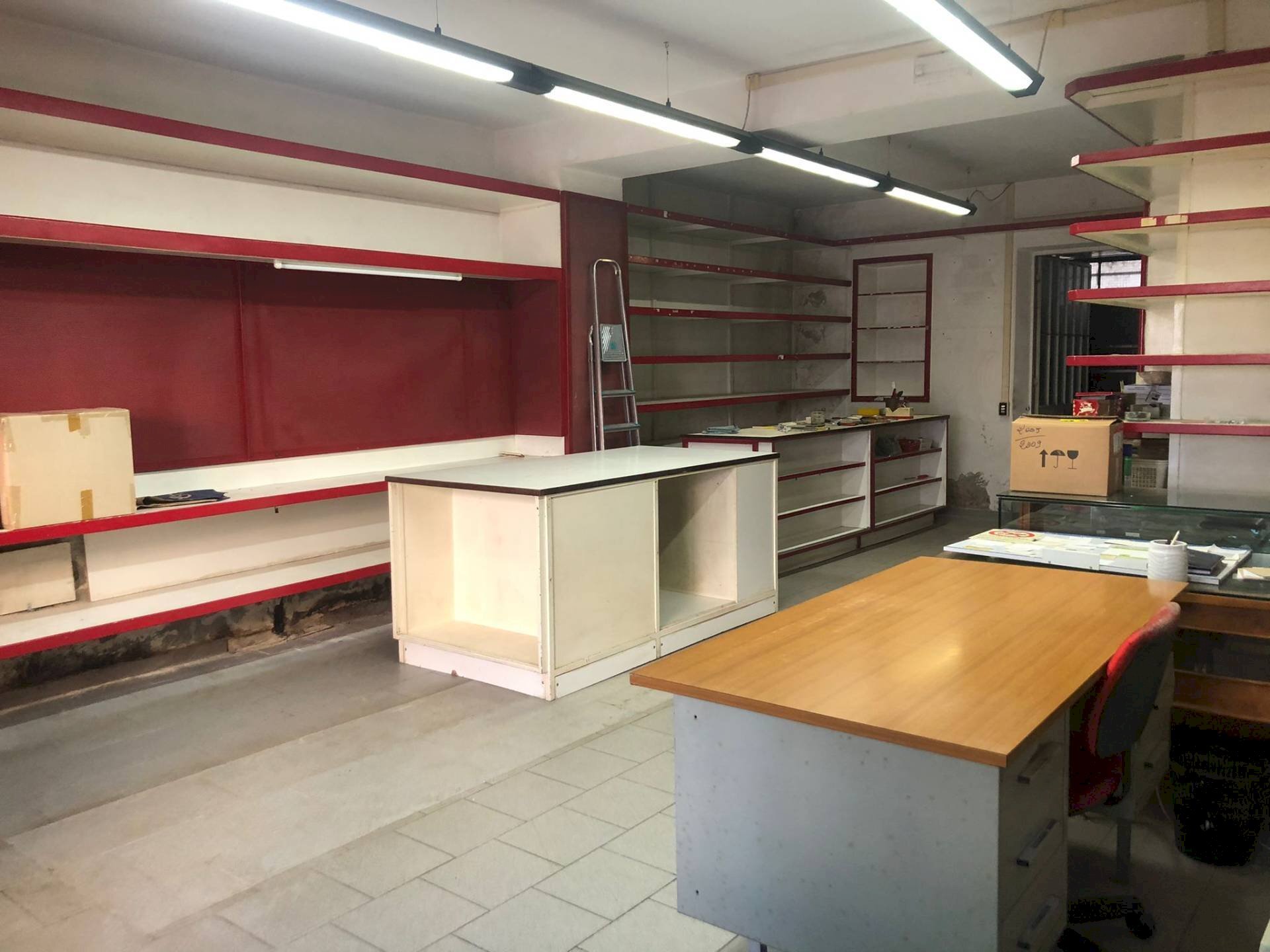 Commercial Activity via sarzanese nord, Massarosa - photo 2