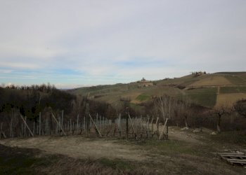 Rustico Monforte d'Alba - foto 6