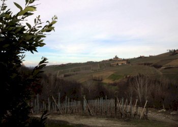 Rustico Monforte d'Alba - foto 9