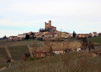 Rustico Monforte d'Alba - foto 11