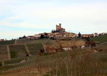 Rustico Monforte d'Alba - foto 12