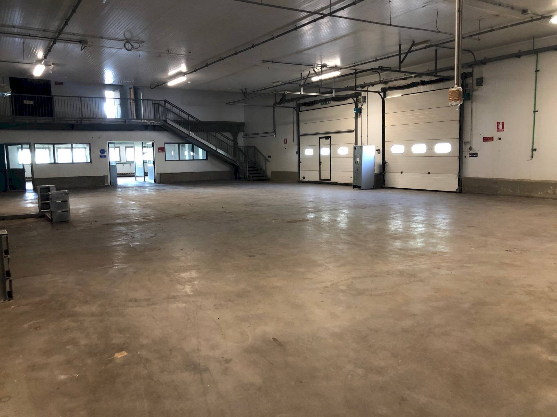 Commercial Activity Via sarzanese nord, Massarosa - photo 1