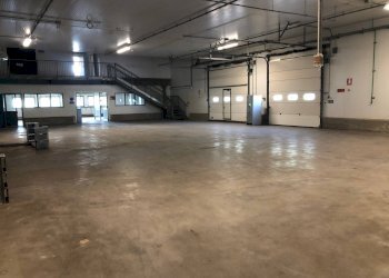 Commercial Activity Via sarzanese nord, Massarosa - photo 1