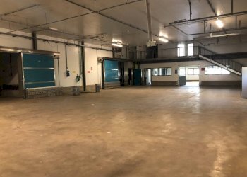 Commercial Activity Via sarzanese nord, Massarosa - photo 2