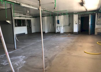 Commercial Activity Via sarzanese nord, Massarosa - photo 5