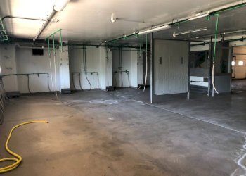 Commercial Activity Via sarzanese nord, Massarosa - photo 6