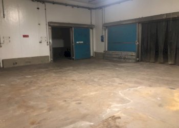 Commercial Activity Via sarzanese nord, Massarosa - photo 12