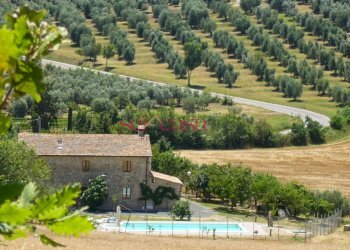 Rustico Cinigiano - foto 6