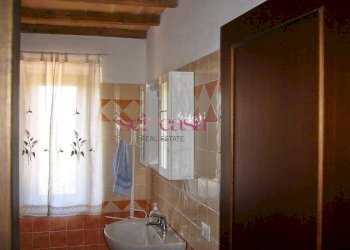 Rustico Cinigiano - foto 17