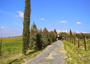 Rustico Cinigiano - foto 21