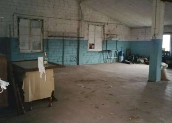 whatsapp image 2021-02-12 at 11.30.09 (5) - Agricultural land via San Lorenzo, Avegno - photo 5