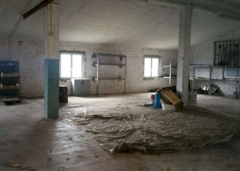 whatsapp image 2021-02-12 at 11.30.09 (4) - Agricultural land via San Lorenzo, Avegno - photo 6