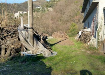 whatsapp image 2021-02-12 at 11.30.09 - Agricultural land via San Lorenzo, Avegno - photo 7