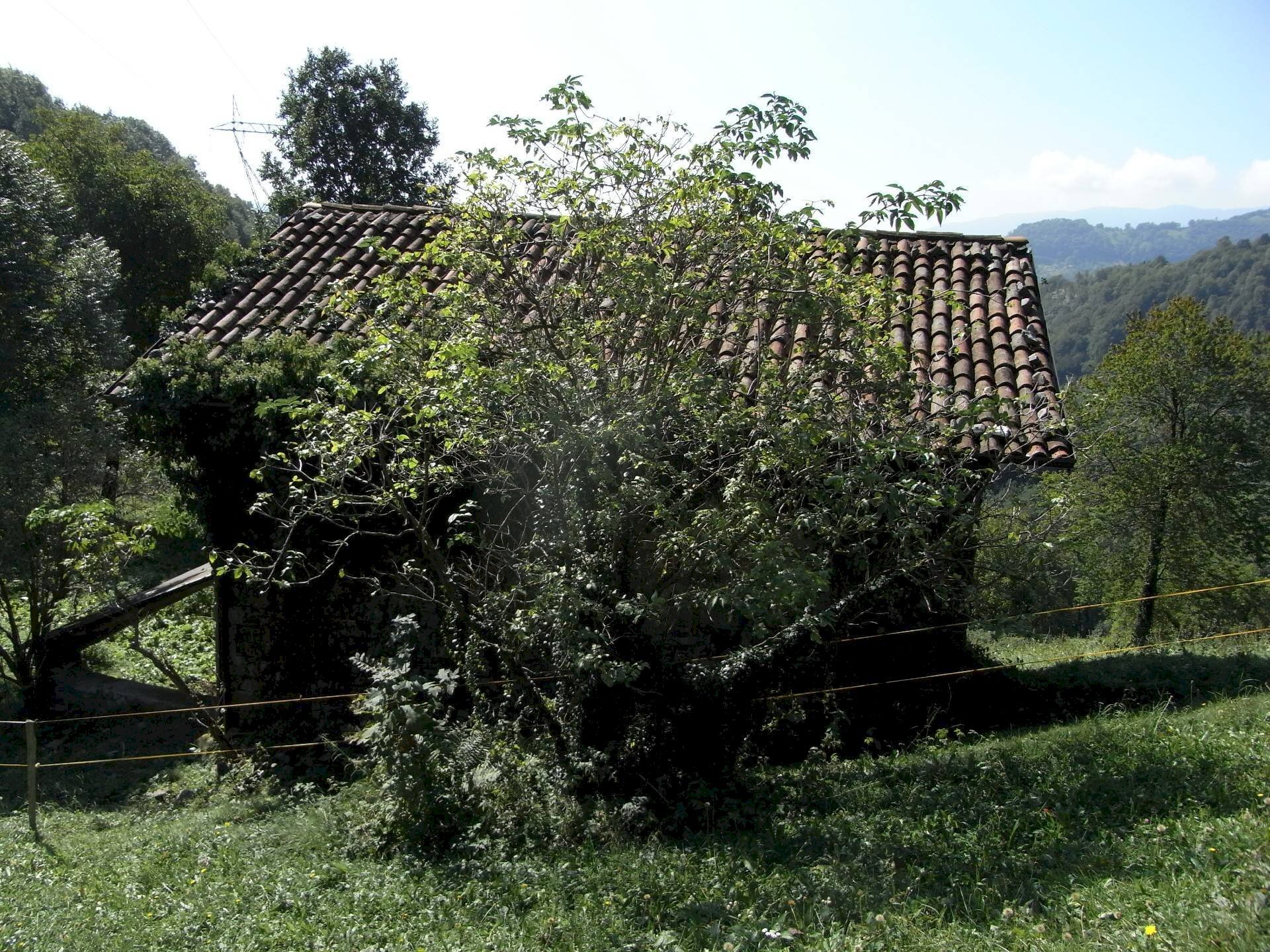 Rustico Gerosa Loc. Feniletti/Casello di Bura, Val Brembilla - foto 2