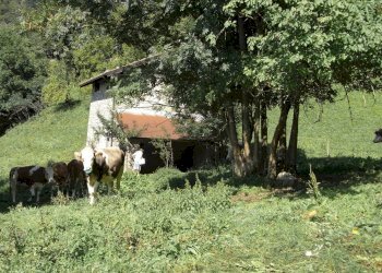 Rustico Gerosa Loc. Feniletti/Casello di Bura, Val Brembilla - foto 9