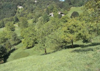 Rustico Gerosa Loc. Feniletti/Casello di Bura, Val Brembilla - foto 14