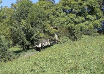Rustico Gerosa Loc. Feniletti/Casello di Bura, Val Brembilla - foto 17