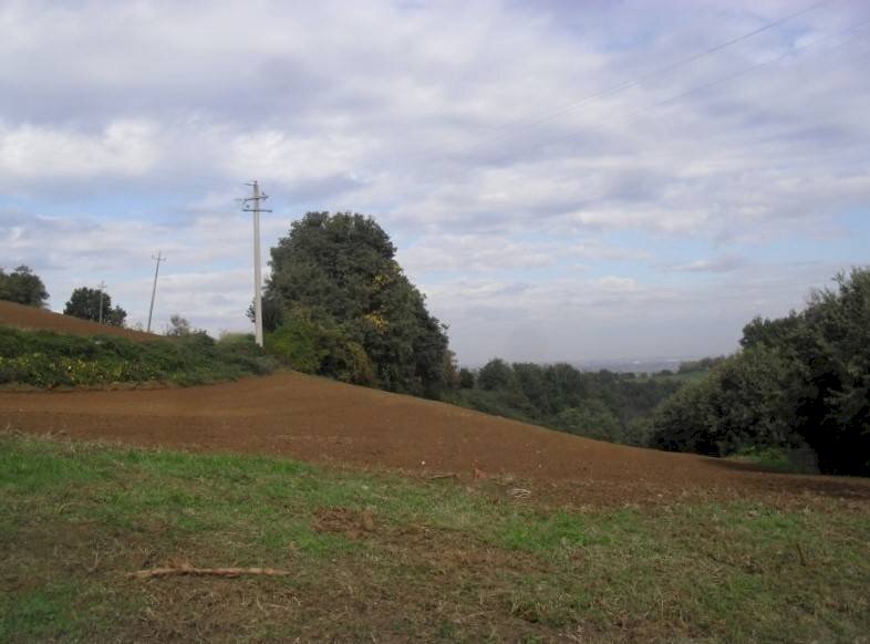 Agricultural land via Malvezza, Castel San Pietro Terme - photo 1