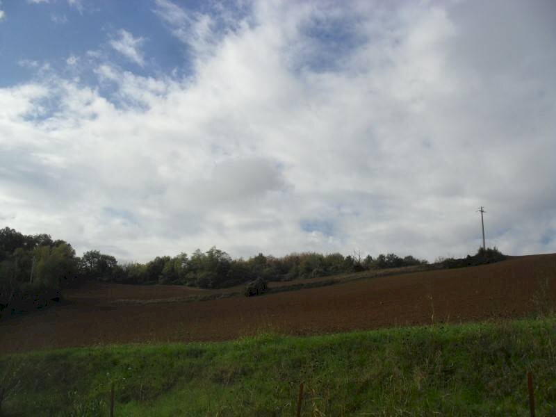 Agricultural land via Malvezza, Castel San Pietro Terme - photo 3