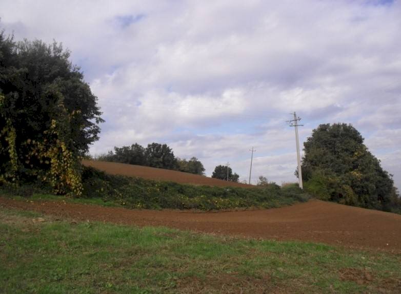 Agricultural land via Malvezza, Castel San Pietro Terme - photo 2
